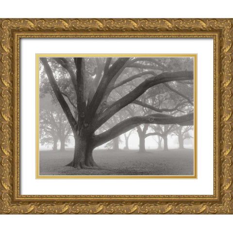 Oak Grove in Fog Gold Ornate Wood Framed Art Print with Double Matting by Guion, William