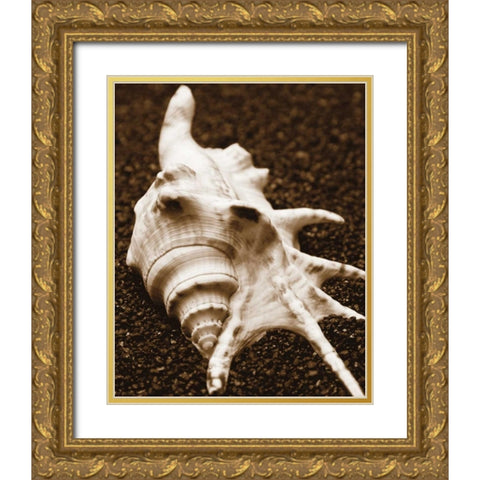 Sea Gallery I Gold Ornate Wood Framed Art Print with Double Matting by Maihara/Watt, Jeff/Boyce