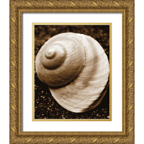 Sea Gallery II Gold Ornate Wood Framed Art Print with Double Matting by Maihara/Watt, Jeff/Boyce