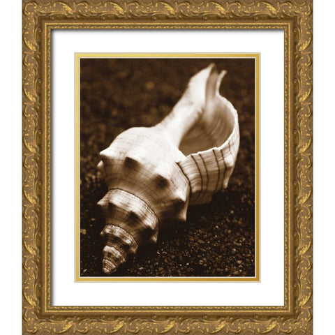 Sea Gallery III Gold Ornate Wood Framed Art Print with Double Matting by Maihara/Watt, Jeff/Boyce
