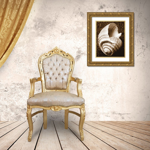 Sea Gallery IV Gold Ornate Wood Framed Art Print with Double Matting by Maihara/Watt, Jeff/Boyce