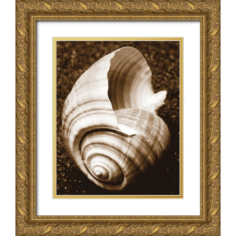 Sea Gallery IV Gold Ornate Wood Framed Art Print with Double Matting by Maihara/Watt, Jeff/Boyce