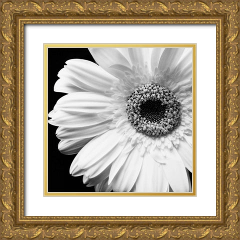 Sunburst I Gold Ornate Wood Framed Art Print with Double Matting by Maihara/Watt, Jeff/Boyce