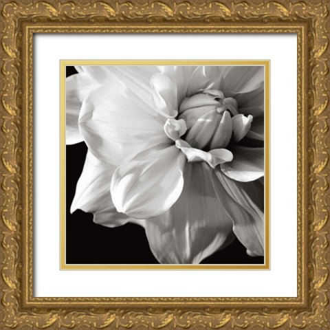 Sunburst III Gold Ornate Wood Framed Art Print with Double Matting by Maihara/Watt, Jeff/Boyce