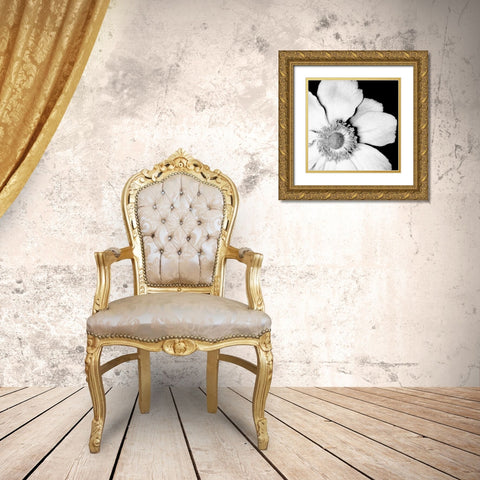 Sunburst IV Gold Ornate Wood Framed Art Print with Double Matting by Maihara/Watt, Jeff/Boyce