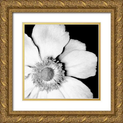 Sunburst IV Gold Ornate Wood Framed Art Print with Double Matting by Maihara/Watt, Jeff/Boyce