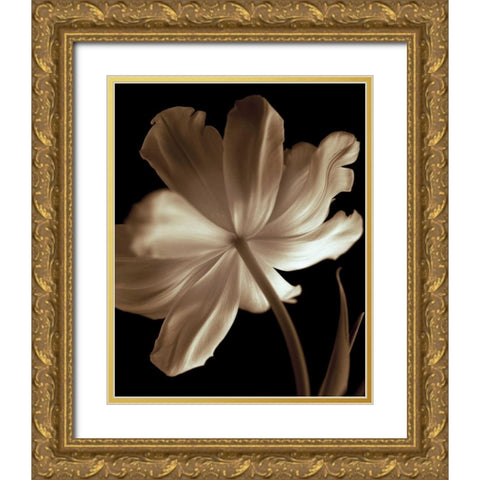 Champagne Tulip II Gold Ornate Wood Framed Art Print with Double Matting by Britt, Charles