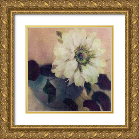 Natures Blossoms I Gold Ornate Wood Framed Art Print with Double Matting by Friedman, Susan