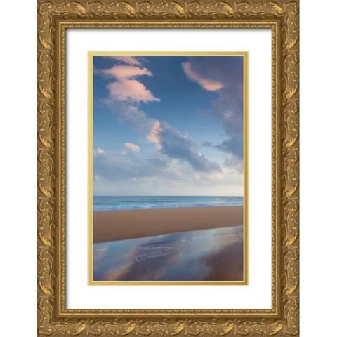 Secret Beach Sunrise I Gold Ornate Wood Framed Art Print with Double Matting by Frates, Dennis