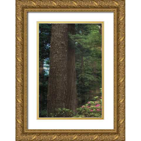 Rise n Shine I Gold Ornate Wood Framed Art Print with Double Matting by Frates, Dennis