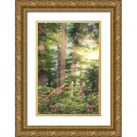 Rise n Shine II Gold Ornate Wood Framed Art Print with Double Matting by Frates, Dennis