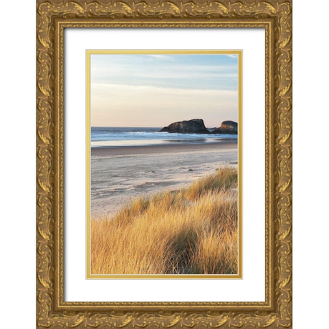 Dune Grass and Beach I Gold Ornate Wood Framed Art Print with Double Matting by Frates, Dennis