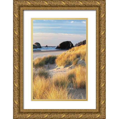 Dune Grass and Beach II Gold Ornate Wood Framed Art Print with Double Matting by Frates, Dennis
