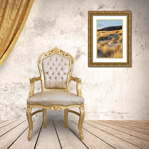 Dune Grass and Beach III Gold Ornate Wood Framed Art Print with Double Matting by Frates, Dennis