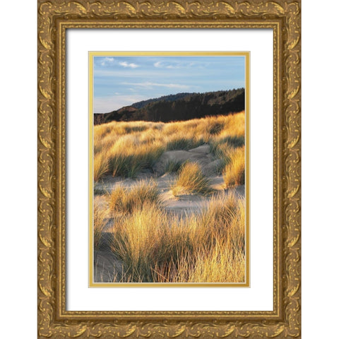Dune Grass and Beach III Gold Ornate Wood Framed Art Print with Double Matting by Frates, Dennis