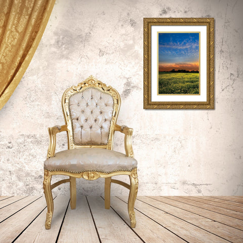 Shadows at Sunset I Gold Ornate Wood Framed Art Print with Double Matting by Celebrate Life Gallery