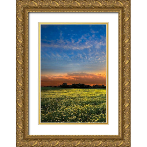 Shadows at Sunset I Gold Ornate Wood Framed Art Print with Double Matting by Celebrate Life Gallery