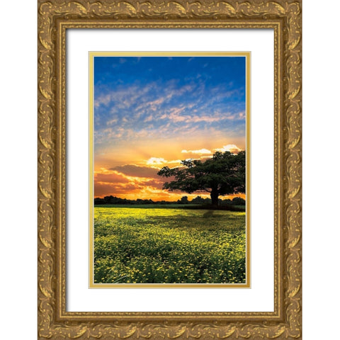 Shadows at Sunset II Gold Ornate Wood Framed Art Print with Double Matting by Celebrate Life Gallery