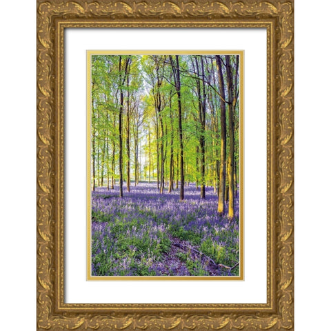 Bluebells and Sunrise III Gold Ornate Wood Framed Art Print with Double Matting by Frank, Assaf