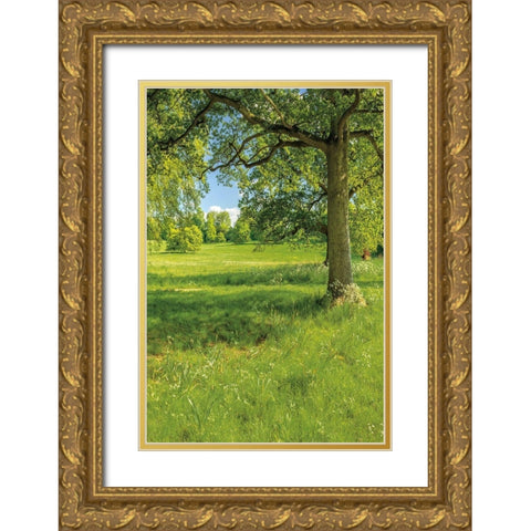 Greenest Pastures I Gold Ornate Wood Framed Art Print with Double Matting by Frank, Assaf