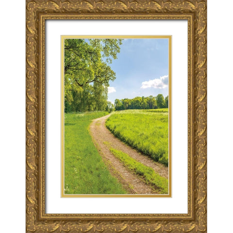 Greenest Pastures II Gold Ornate Wood Framed Art Print with Double Matting by Frank, Assaf