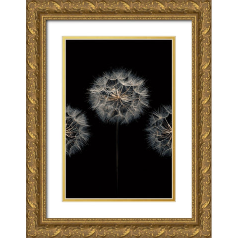 Make A Wish II Gold Ornate Wood Framed Art Print with Double Matting by Frank, Assaf