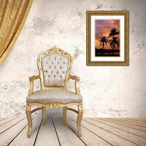 Tropical Sunsets A Gold Ornate Wood Framed Art Print with Double Matting by Jones, Mike
