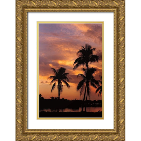 Tropical Sunsets A Gold Ornate Wood Framed Art Print with Double Matting by Jones, Mike