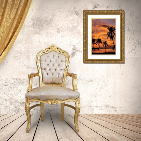 Tropical Sunsets B Gold Ornate Wood Framed Art Print with Double Matting by Jones, Mike