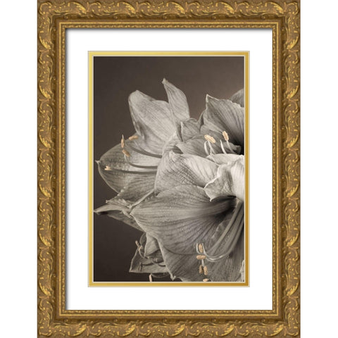Grand Floral I Gold Ornate Wood Framed Art Print with Double Matting by Frank, Assaf