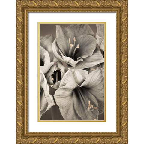 Grand Floral II Gold Ornate Wood Framed Art Print with Double Matting by Frank, Assaf