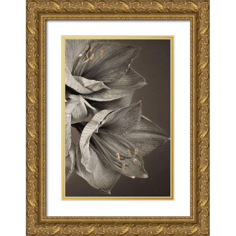 Grand Floral III Gold Ornate Wood Framed Art Print with Double Matting by Frank, Assaf