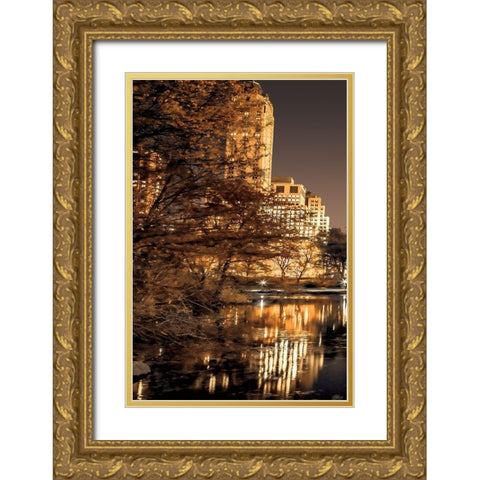 Central Park Glow I Gold Ornate Wood Framed Art Print with Double Matting by Frank, Assaf