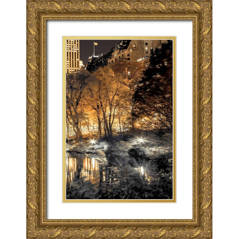 Central Park Glow III Gold Ornate Wood Framed Art Print with Double Matting by Frank, Assaf
