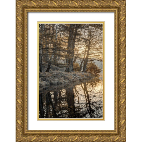Frosty Morning I Gold Ornate Wood Framed Art Print with Double Matting by Frank, Assaf