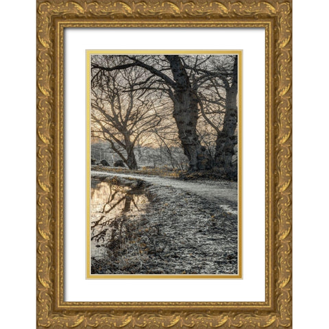 Frosty Morning III Gold Ornate Wood Framed Art Print with Double Matting by Frank, Assaf