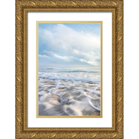 Seafoam II Gold Ornate Wood Framed Art Print with Double Matting by Celebrate Life Gallery