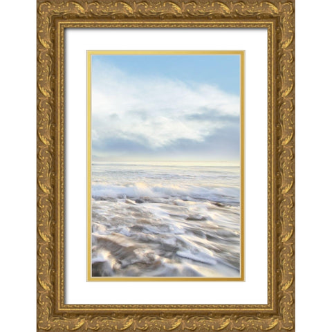 Seafoam III Gold Ornate Wood Framed Art Print with Double Matting by Celebrate Life Gallery