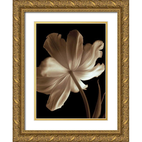 Champagne Tulip II Gold Ornate Wood Framed Art Print with Double Matting by Britt, Charles