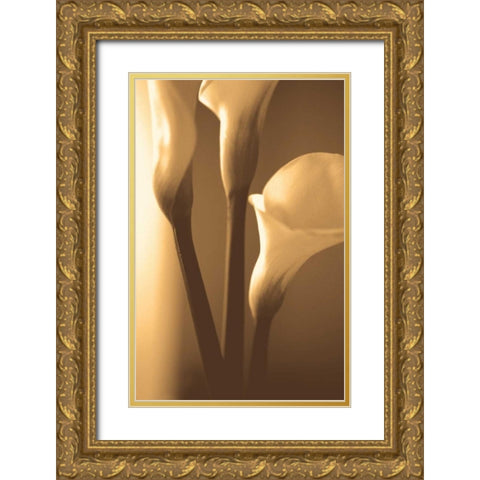 Enlightenment Gold Ornate Wood Framed Art Print with Double Matting by Ryan, Cinzia