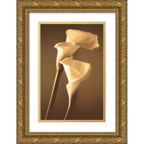 Enlightenment Gold Ornate Wood Framed Art Print with Double Matting by Ryan, Cinzia