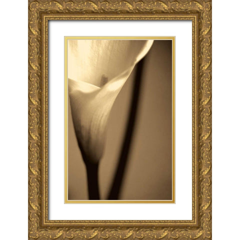 Divinity Gold Ornate Wood Framed Art Print with Double Matting by Ryan, Cinzia