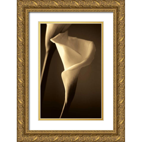 Divinity Gold Ornate Wood Framed Art Print with Double Matting by Ryan, Cinzia