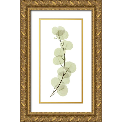 Eucalyptus Gold Ornate Wood Framed Art Print with Double Matting by ACEE