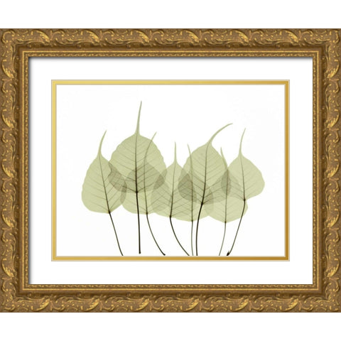 Woodlands I Gold Ornate Wood Framed Art Print with Double Matting by ACEE