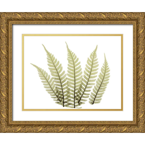 Woodlands II Gold Ornate Wood Framed Art Print with Double Matting by ACEE