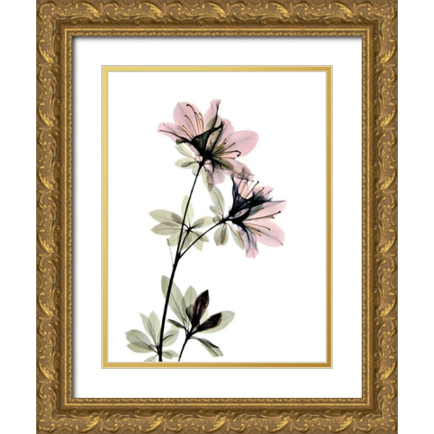 Azalea Gold Ornate Wood Framed Art Print with Double Matting by ACEE
