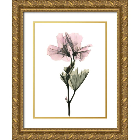 Geranium Gold Ornate Wood Framed Art Print with Double Matting by ACEE