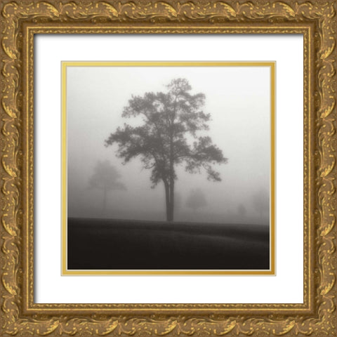 Fog Tree Study I Gold Ornate Wood Framed Art Print with Double Matting by Cook, Jamie