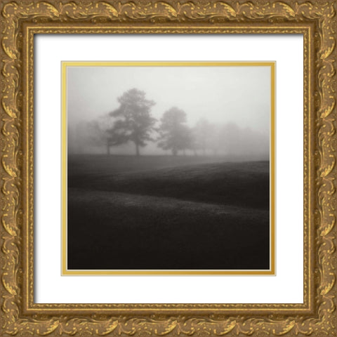 Fog Tree Study II Gold Ornate Wood Framed Art Print with Double Matting by Cook, Jamie